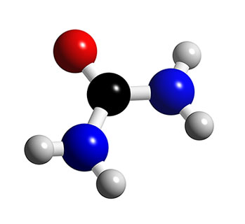 urea
