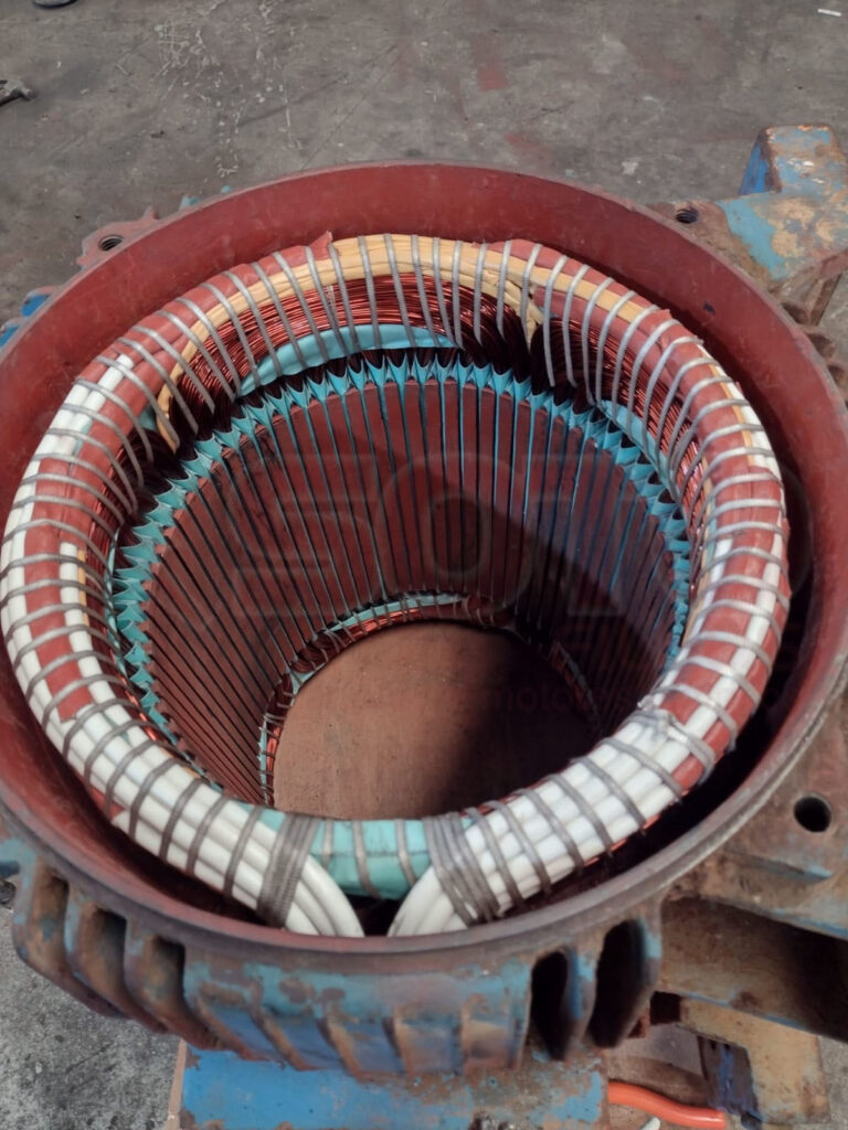 273875562_4834948749951527_2784806070437186855_n